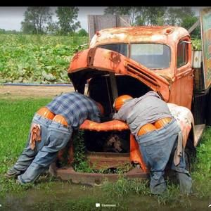 Meet your Posher, Jerry